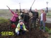 SEEDS 051 Revegetation in the South of Iceland