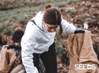 SEEDS 027. Caves and Canyons in the East of Iceland