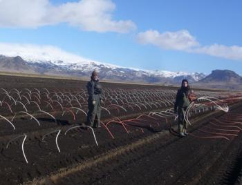 Mýrdalshreppur - South shore