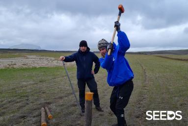 SEEDS 036. Selárdalur in the Westfjords - Samúel Jónsson