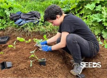 SEEDS 045. Awareness, Engagement & Action!