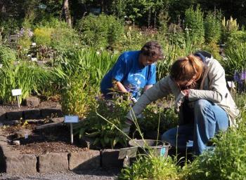 Botanic Garden in Reykjavík (6:9)