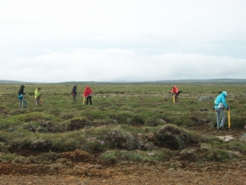 Sustainability in Action