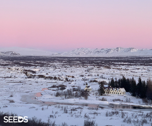 SEEDS 004. Environment & Photography - Winter lights