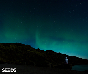 SEEDS 002. Environment & Photography - January