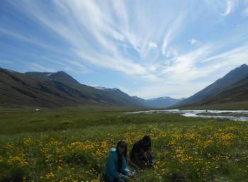 Skagafjörður in the North of Iceland