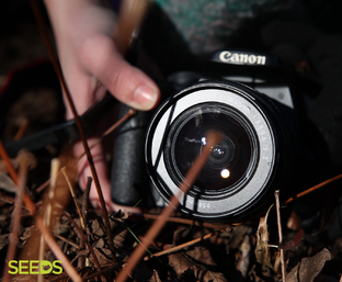 SEEDS 070. Photography & Fun in Reykjavík - Autumn