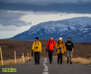 SEEDS 069. Forestry in the Far East of Iceland