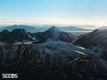 SEEDS 010. Environment & Photography in Reykjavík