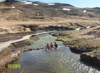 The Hot Spring capital - Sustainable future in the flowertown (2:3)