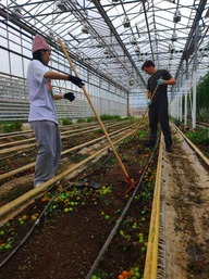 SEEDS 067. Environmental Awareness & Action - Rvk