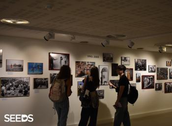 SEEDS 038. Summer Solstice & Photography in Reykjavík