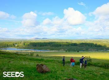 SEEDS 050. Midnight Sun & Photography in Reykjavík
