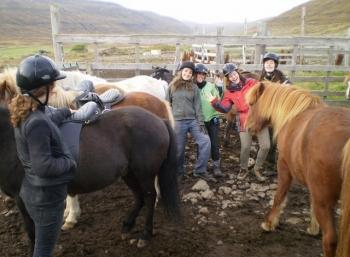 Ísafjarðardjúp: Nature & Fun in the Westfjords (2:4)