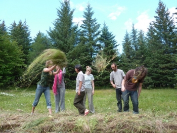 Revegetation in the south of Iceland (2:2)
