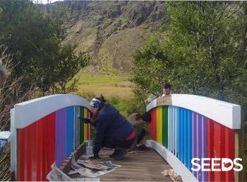 SEEDS 050. Awareness, Engagement & Action!